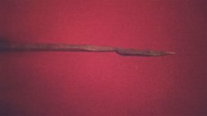 The beginnings of a leaf